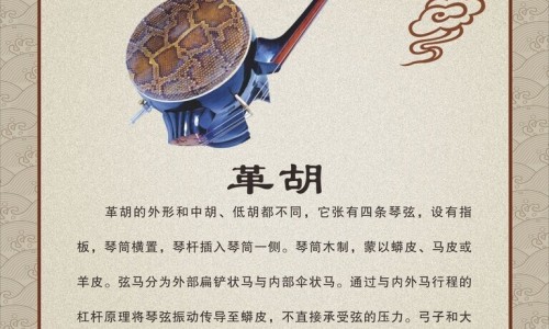 权威脸上有痣还长毛什么含义平台,分享专业脸上有痣上面还有毛好不好知识_脸上有个痔还有毛网