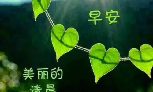 脸上痣长毛-权威脸上有痣还长毛什么含义平台,分享专业脸上有痣上面还有毛好不好知识_脸上有个痔还有毛网